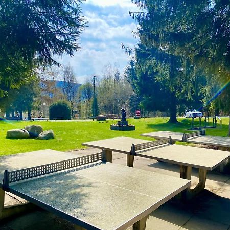 Relaxapartments Abendsonne Im Herzen Des Harzes - Ein El Dorado Fuer Wanderer, Biker Und Ruhesuchende - Mit Sonnigem Balkon Und Platz Fuer Bis Zu 3 Personen Goslar Esterno foto