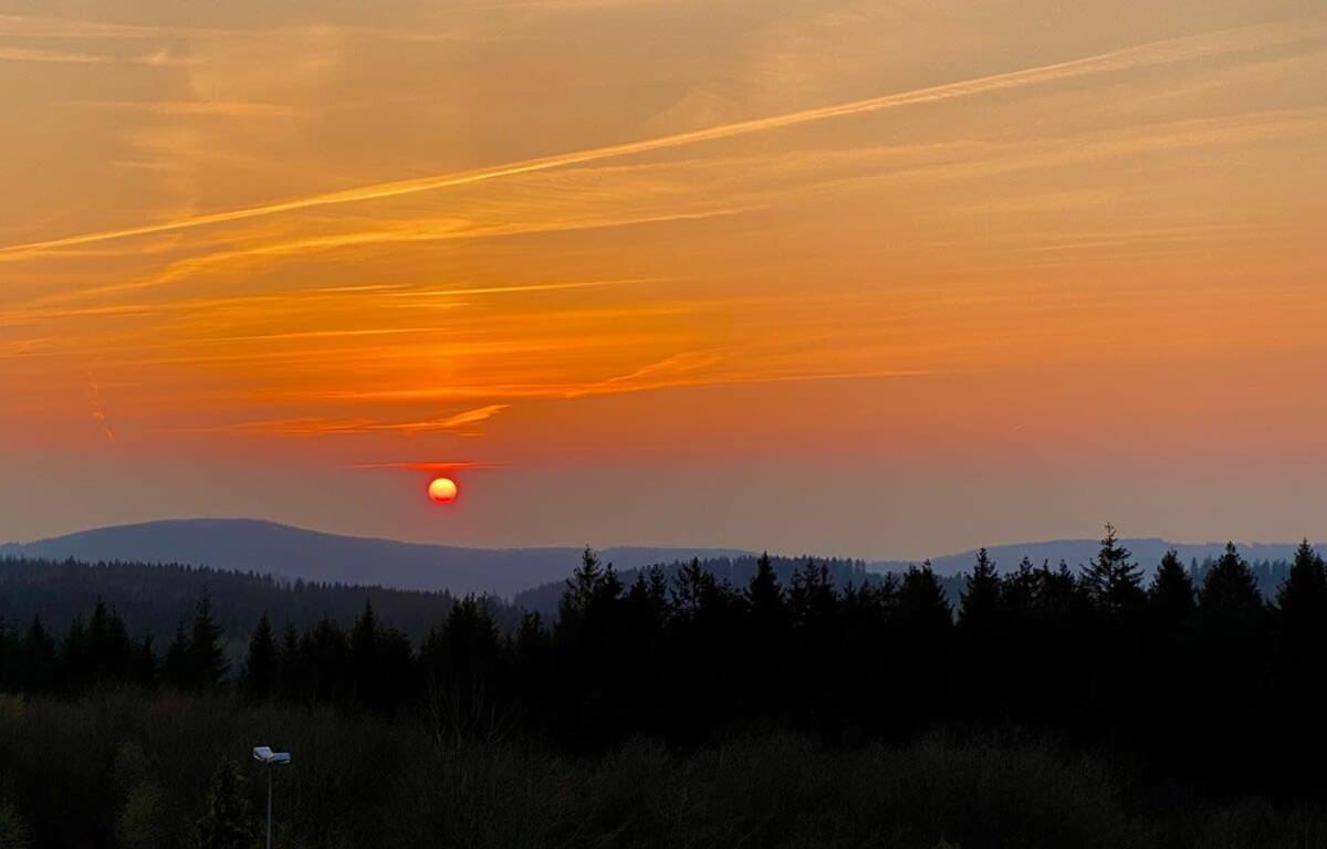 Relaxapartments Abendsonne Im Herzen Des Harzes - Ein El Dorado Fuer Wanderer, Biker Und Ruhesuchende - Mit Sonnigem Balkon Und Platz Fuer Bis Zu 3 Personen Goslar Esterno foto
