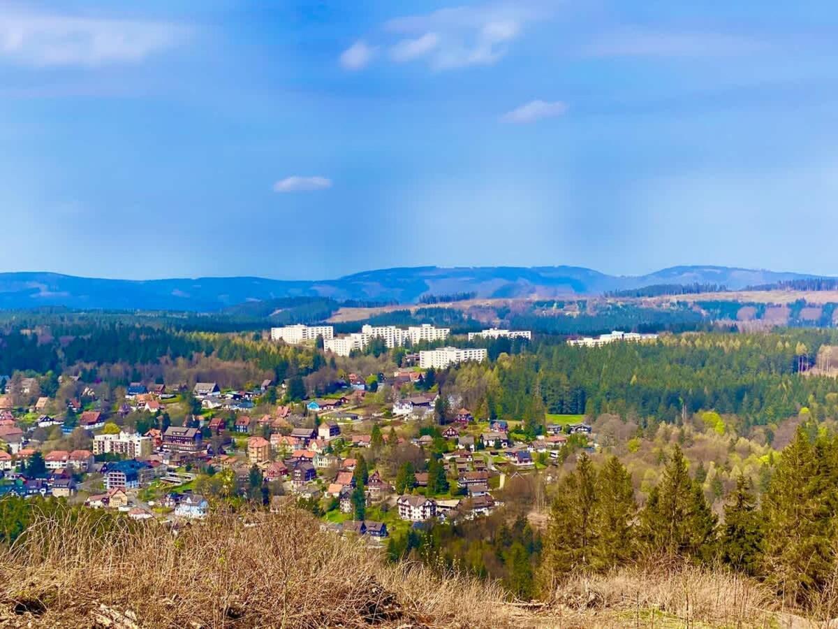 Relaxapartments Abendsonne Im Herzen Des Harzes - Ein El Dorado Fuer Wanderer, Biker Und Ruhesuchende - Mit Sonnigem Balkon Und Platz Fuer Bis Zu 3 Personen Goslar Esterno foto